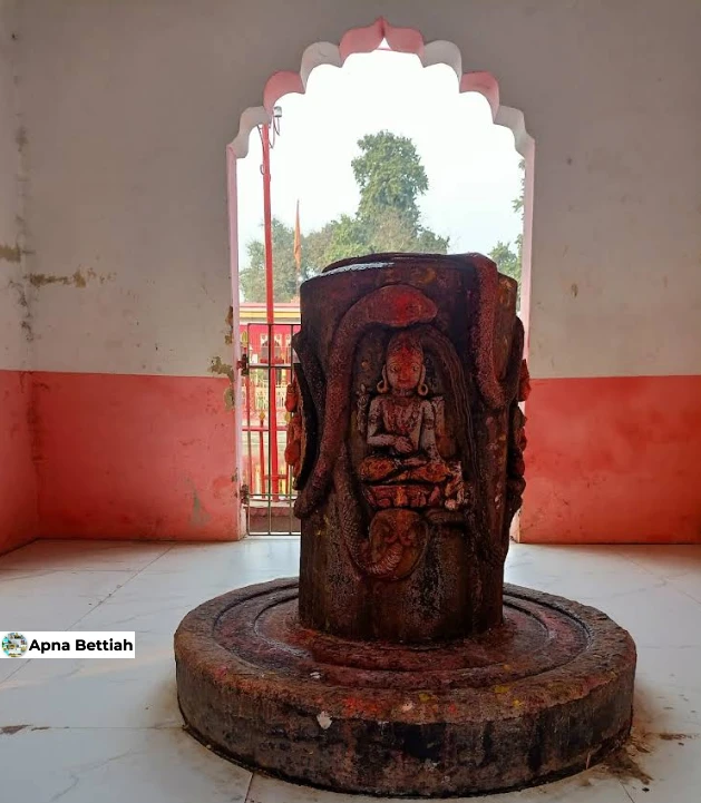 Maa Kali Mandir Bettiah History: माँ काली मंदिर से जुड़ी गौरवशाली ऐतिहासिक जानकारियाँ अद्भुत तथ्य 5 Maa Kali Bagh Mandir Statues